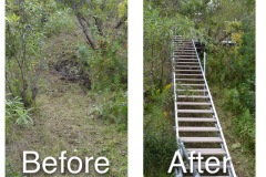 before___after_2-1